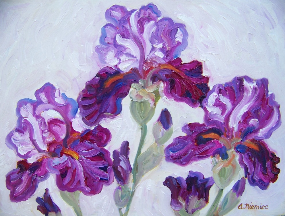 Purple Iris on white oil on board