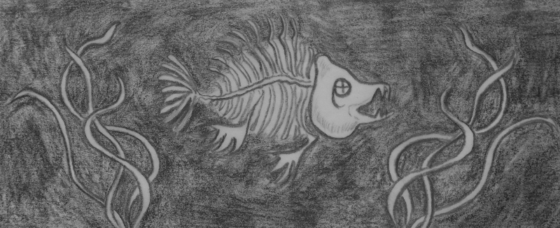 Expired fish